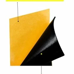 Best reviews of 👍 110mm X 38mm Black Wooden Fingerboard Skateboard Foam Grip Tape Stickers (8) 18pcs 😀 -Vehicles Online Shop 31ErMAP9itL