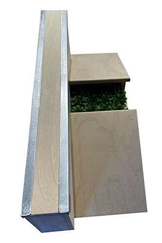 Discount ๐คฉ Washington Wall Gap Ramp For Tech Decks F ๐ 6 Discount ๐คฉ Washington Wall Gap Ramp For Tech Decks F ๐ - Image 4