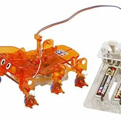 Best Pirce 🔔 Rhinoceros Beetle ⭐