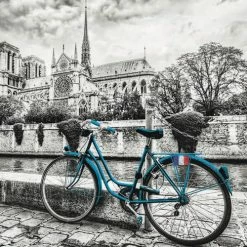 Brand new ⌛ 18482 Coloured B&W Series: Bike Near Notre Dame Puzzle, 500 Pieces, Multicoloure 🎁 -Vehicles Online Shop 61Eqailq4RL