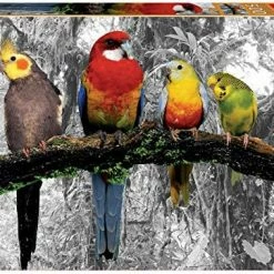 Brand new ⌛ 18482 Coloured B&W Series: Bike Near Notre Dame Puzzle, 500 Pieces, Multicoloure 🎁 -Vehicles Online Shop 61xIMI5BH3L. AC