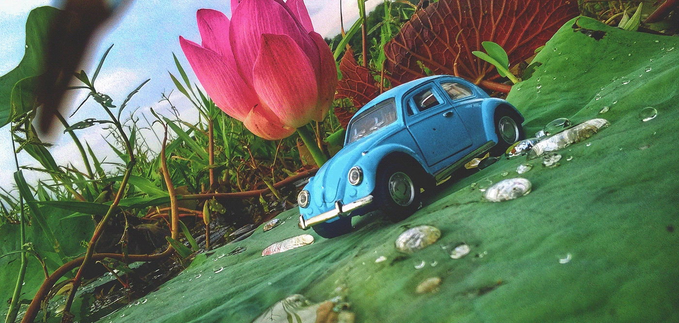 Vehicles Online Shop -Vehicles Online Shop qg